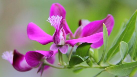 Приемы эффективной саморегуляции